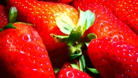 Bright strawberry 스톡 동영상 106535485