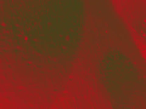 Bright streaks of paint on a wall. Empty abstract background. Stock Photos