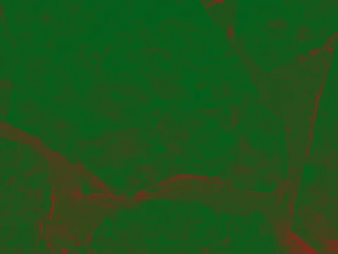 Bright streaks of paint on a wall. Empty abstract background. Stock Photos