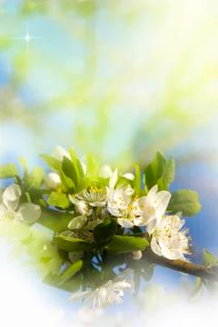 Bright summer background Stock Illustration