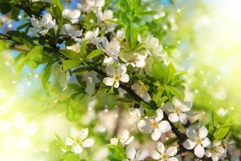 Bright summer background Stock Illustration