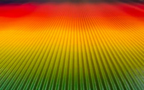 Bright summer background with an interesting texture Stock Photos