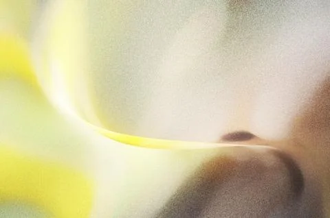 Bright summer bokeh background with blurred light patterns with smooth curv.. 스톡 일러스트