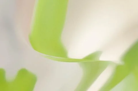 Bright summer bokeh background with blurred light patterns with smooth curv.. Stock Illustration