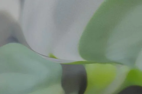Bright summer bokeh background with blurred light patterns with smooth curv.. 스톡 일러스트