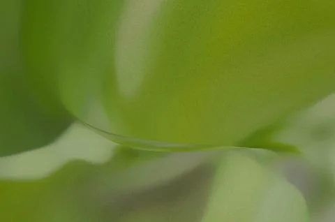 Bright summer bokeh background with blurred light patterns with smooth curv.. Illustrazione stock