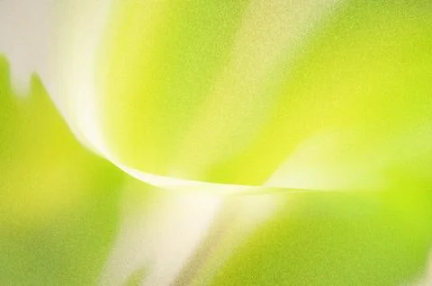 Bright summer bokeh background with blurred light patterns with smooth curv.. Stock Illustration