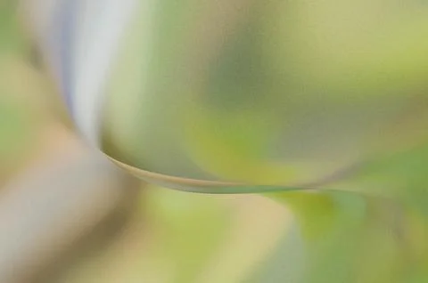 Bright summer bokeh background with blurred light patterns with smooth curv.. 스톡 일러스트