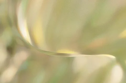 Bright summer bokeh background with blurred light patterns with smooth curv.. Stock Illustration
