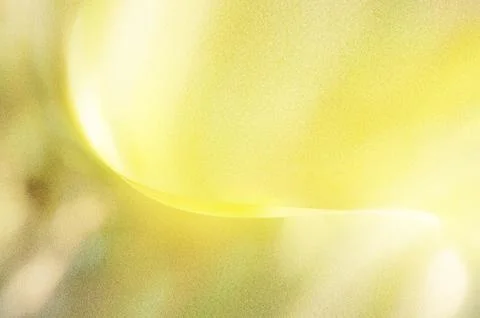 Bright summer bokeh background with blurred light patterns with smooth curv.. Stock Illustration
