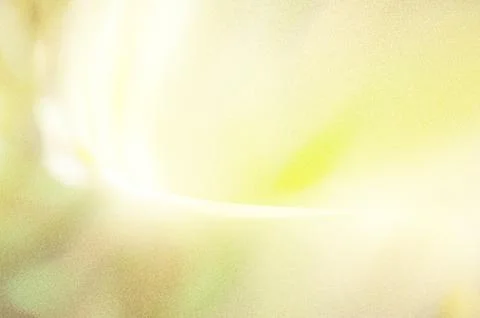 Bright summer bokeh background with blurred light patterns with smooth curv.. Stock Illustration