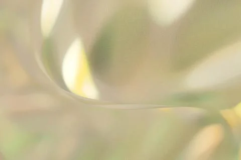 Bright summer bokeh background with blurred light patterns with smooth curv.. 스톡 일러스트