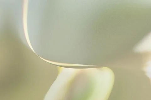 Bright summer bokeh background with blurred light patterns with smooth curv.. Illustrazione stock