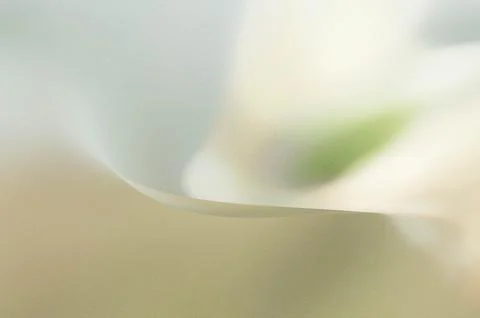 Bright summer bokeh background with blurred light patterns with smooth curv.. 스톡 일러스트