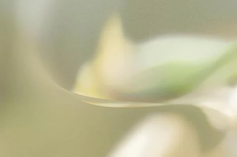 Bright summer bokeh background with blurred light patterns with smooth curv.. Illustrazione stock