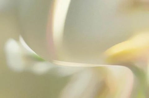 Bright summer bokeh background with blurred light patterns with smooth curv.. Stock Illustration