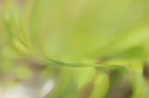 Bright summer bokeh background with blurred light patterns with smooth curv.. Illustrazione stock