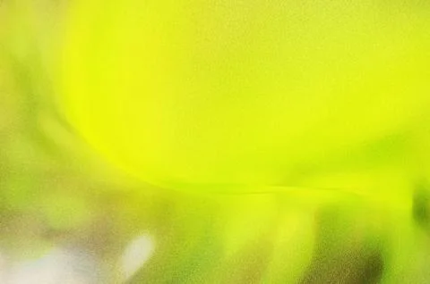 Bright summer bokeh background with blurred light patterns with smooth curv.. Stock Illustration