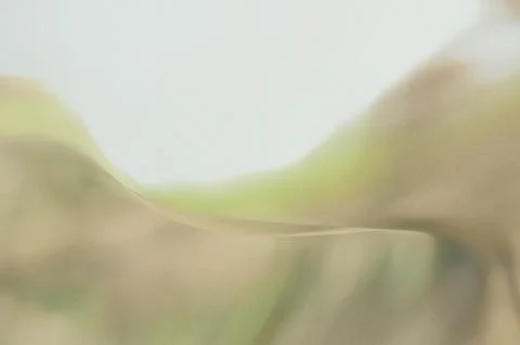 Bright summer bokeh background with blurred light patterns with smooth curv.. 스톡 일러스트