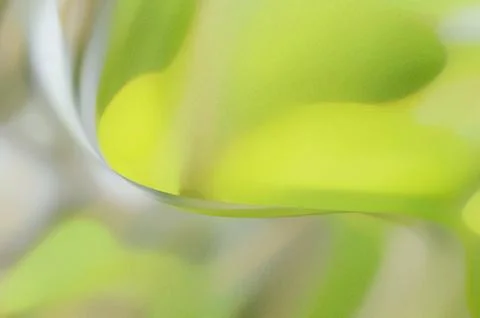 Bright summer bokeh background with blurred light patterns with smooth curv.. Illustrazione stock