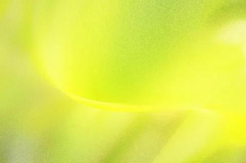 Bright summer bokeh background with blurred light patterns with smooth curv.. Illustrazione stock