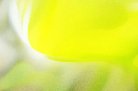 Bright summer bokeh background with blurred light patterns with smooth curv.. Stock Illustration