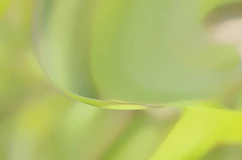 Bright summer bokeh background with blurred light patterns with smooth curv.. 스톡 일러스트