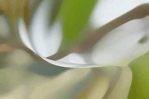Bright summer bokeh background with blurred light patterns with smooth curv.. 스톡 일러스트