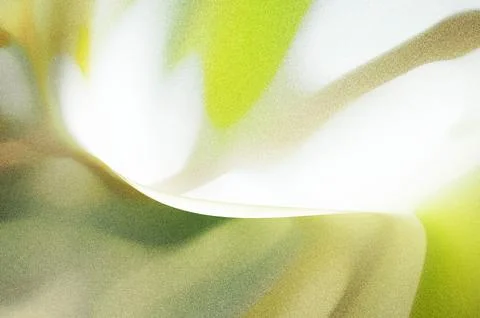 Bright summer bokeh background with blurred light patterns with smooth curv.. Stock Illustration
