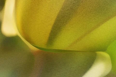 Bright summer bokeh background with blurred light patterns with smooth curv.. Stock Illustration