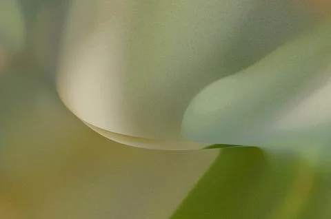 Bright summer bokeh background with blurred light patterns with smooth curv.. Illustrazione stock
