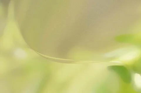 Bright summer bokeh background with blurred light patterns with smooth curv.. 스톡 일러스트