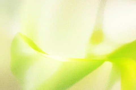 Bright summer bokeh background with blurred light patterns with smooth curv.. Stock Illustration