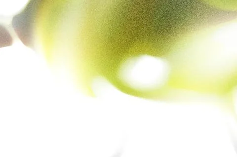 Bright summer bokeh background with blurred light patterns with smooth curv.. 스톡 일러스트