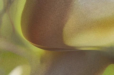 Bright summer bokeh background with blurred light patterns with smooth curv.. Stock Illustration