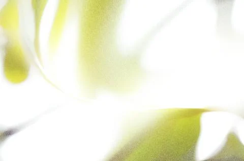 Bright summer bokeh background with blurred light patterns with smooth curv.. 스톡 일러스트