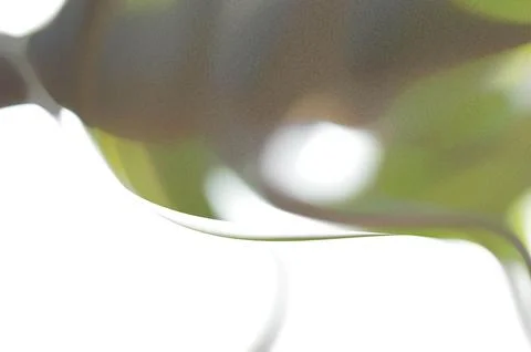 Bright summer bokeh background with blurred light patterns with smooth curv.. 스톡 일러스트