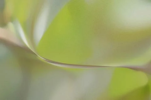 Bright summer bokeh background with blurred light patterns with smooth curv.. Illustrazione stock