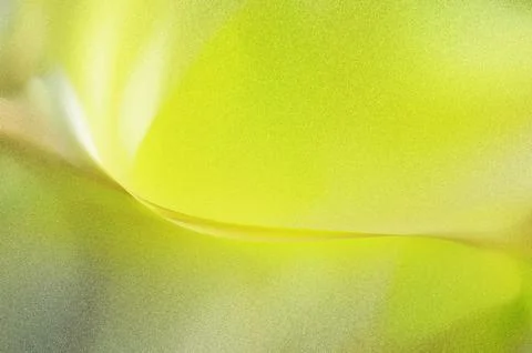 Bright summer bokeh background with blurred light patterns with smooth curv.. Stock Illustration