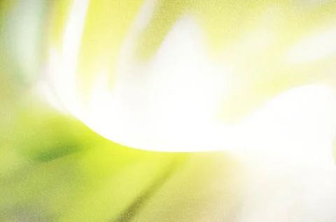 Bright summer bokeh background with blurred light patterns with smooth curv.. 스톡 일러스트