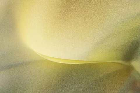 Bright summer bokeh background with blurred light patterns with smooth curv.. 스톡 일러스트