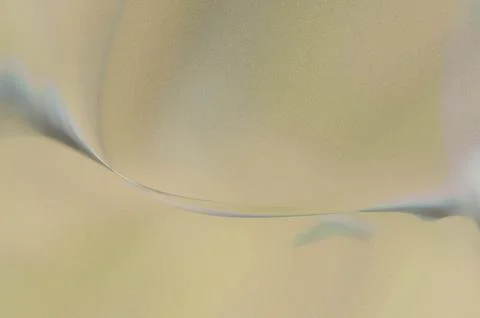 Bright summer bokeh background with blurred light patterns with smooth curv.. 스톡 일러스트