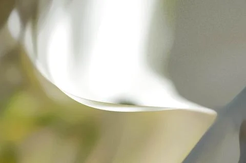 Bright summer bokeh background with blurred light patterns with smooth curv.. 스톡 일러스트