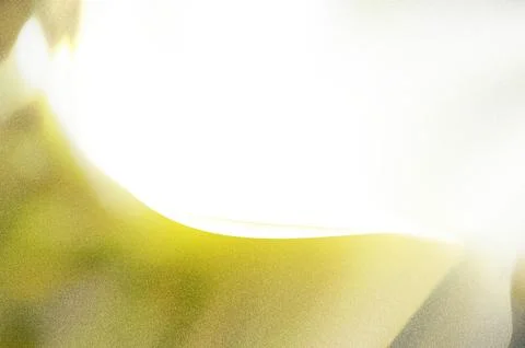 Bright summer bokeh background with blurred light patterns with smooth curv.. Illustrazione stock