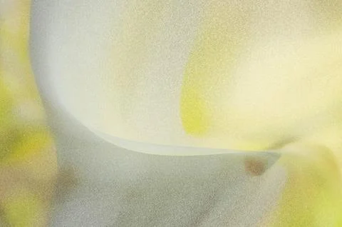 Bright summer bokeh background with blurred light patterns, perfect for nat.. Stock Illustration