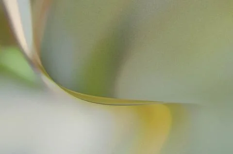 Bright summer bokeh background with blurred light patterns with smooth curv.. Illustrazione stock