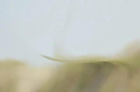 Bright summer bokeh background with blurred light patterns with smooth curv.. Illustrazione stock