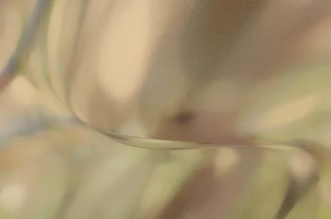 Bright summer bokeh background with blurred light patterns with smooth curv.. 스톡 일러스트