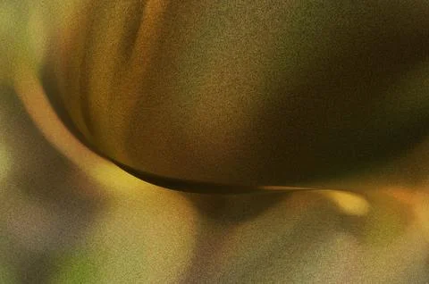 Bright summer bokeh background with blurred light patterns with smooth curv.. Illustrazione stock