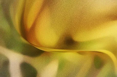 Bright summer bokeh background with blurred light patterns with smooth curv.. Illustrazione stock